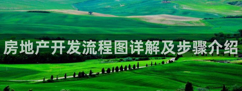 佛山永利工业皮带