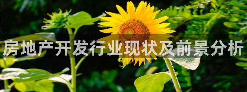 永利百货怎么样