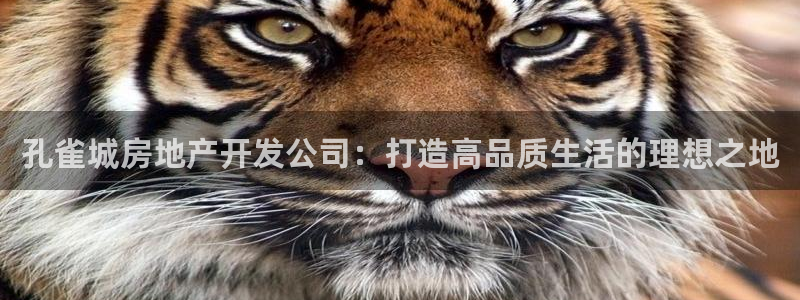 永利会员卡级别及福利