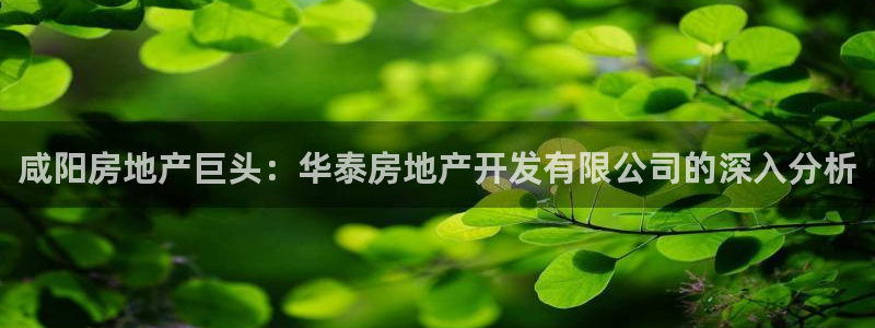 滨州永利顺运输有限公司