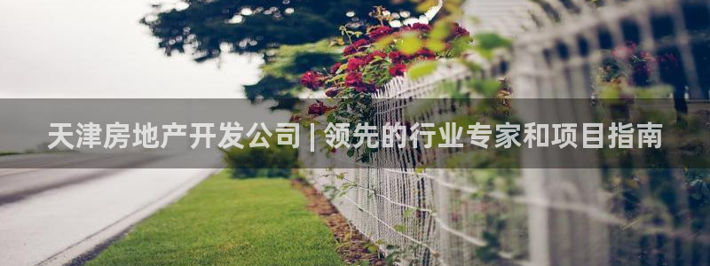 9900777z永利网