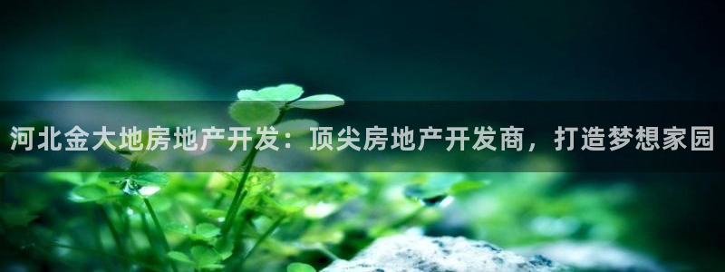 永利pc网址