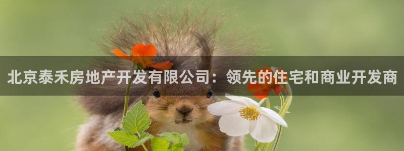 永利官网总站入口网址