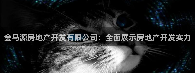 永利集团304am官方入口版