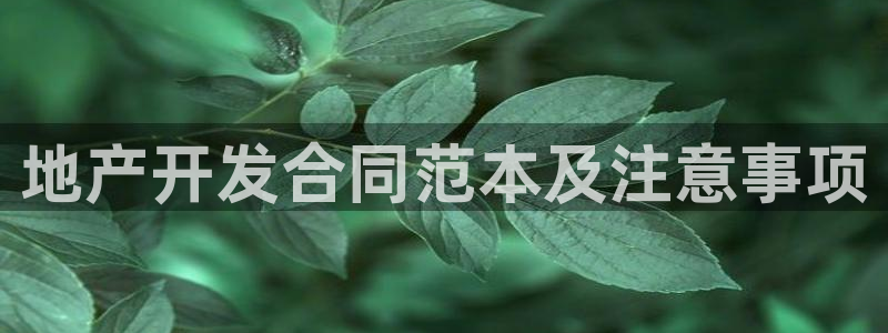 永利网是不是真的