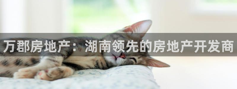 永利股份今日价