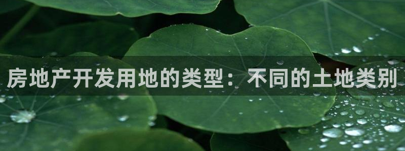 永利老板的名字叫什么名字