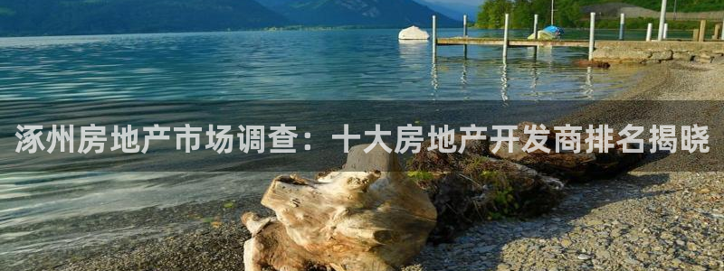 永利地产