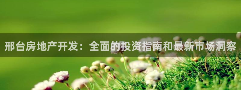 永利创始人