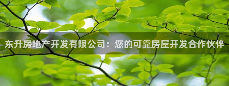 永利官方旗舰店