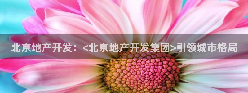 永利提不了款怎么办