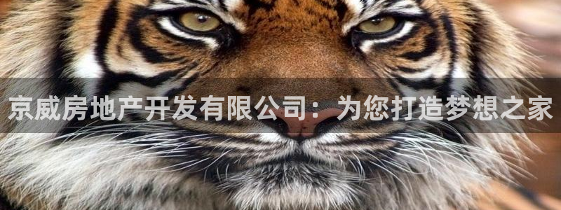 永利优惠大厅