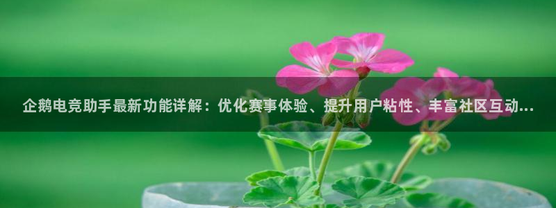南宫电竞平台：企鹅电竞助手最新功能详解：优化赛事体验、提升用户粘性、丰富社区互动...