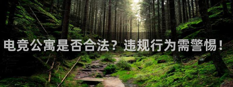 南宫电竞平台：电竞公寓是否合法？违规行为需警惕！