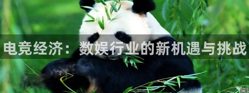 南宫电竞登陆：电竞经济：数娱行业的新机遇与挑战