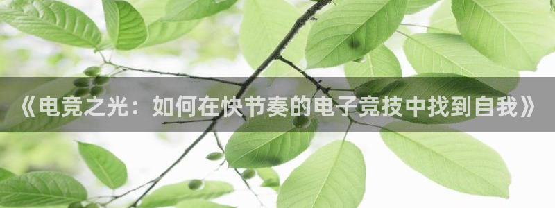 南宫电竞网：《电竞之光：如何在快节奏的电子竞技中找到自我》